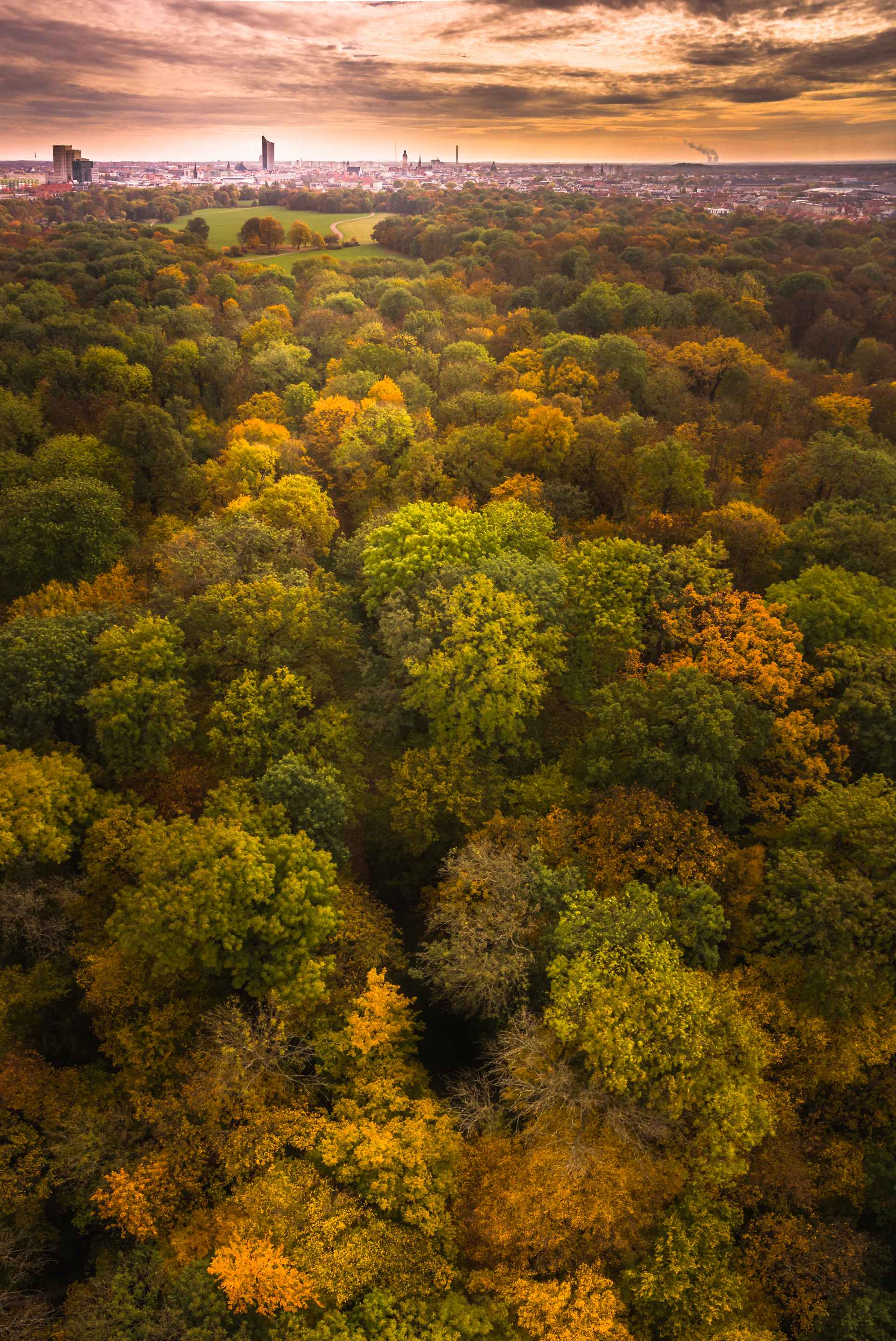 luftbild_kostenlos_leipzig_herbst_rosental_1920